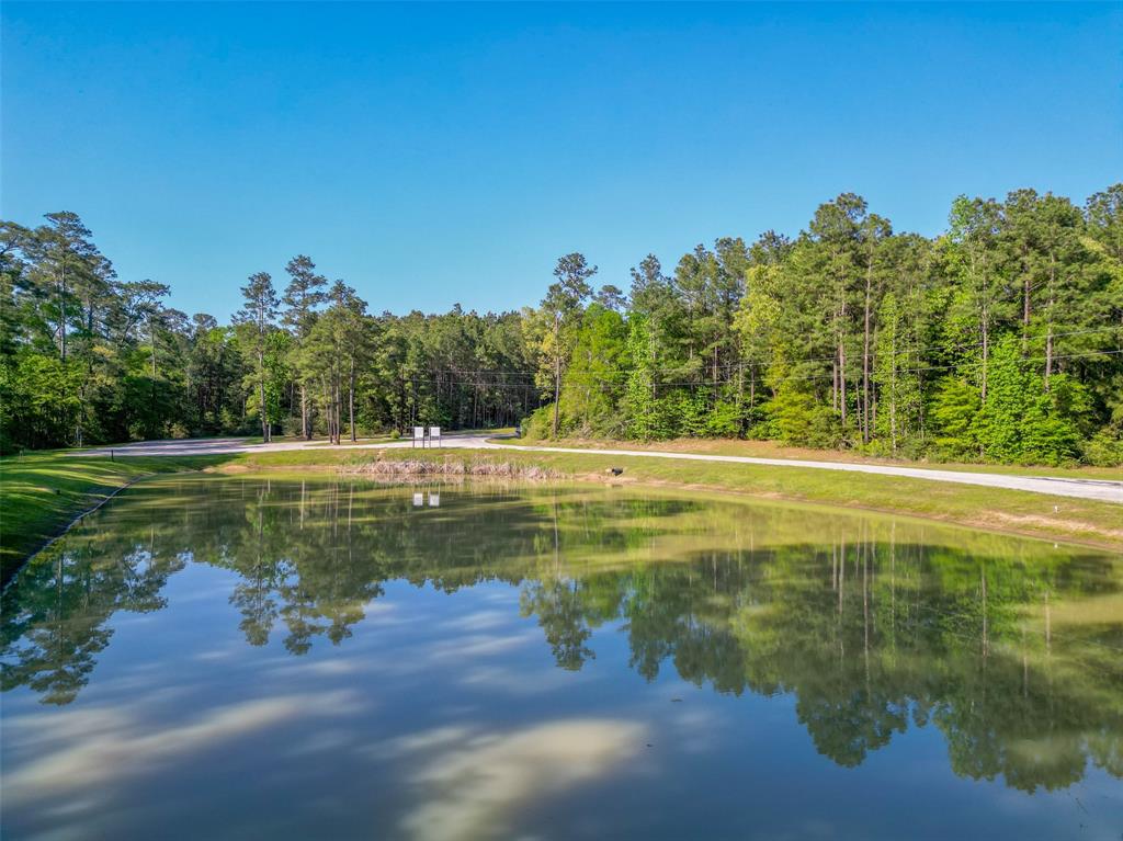 1-6-17 Dedication Trail, Huntsville, Texas image 10