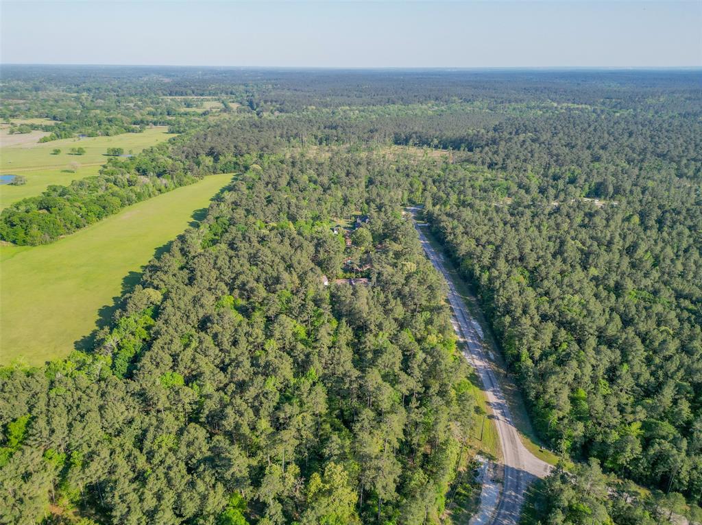 1-6-17 Dedication Trail, Huntsville, Texas image 3