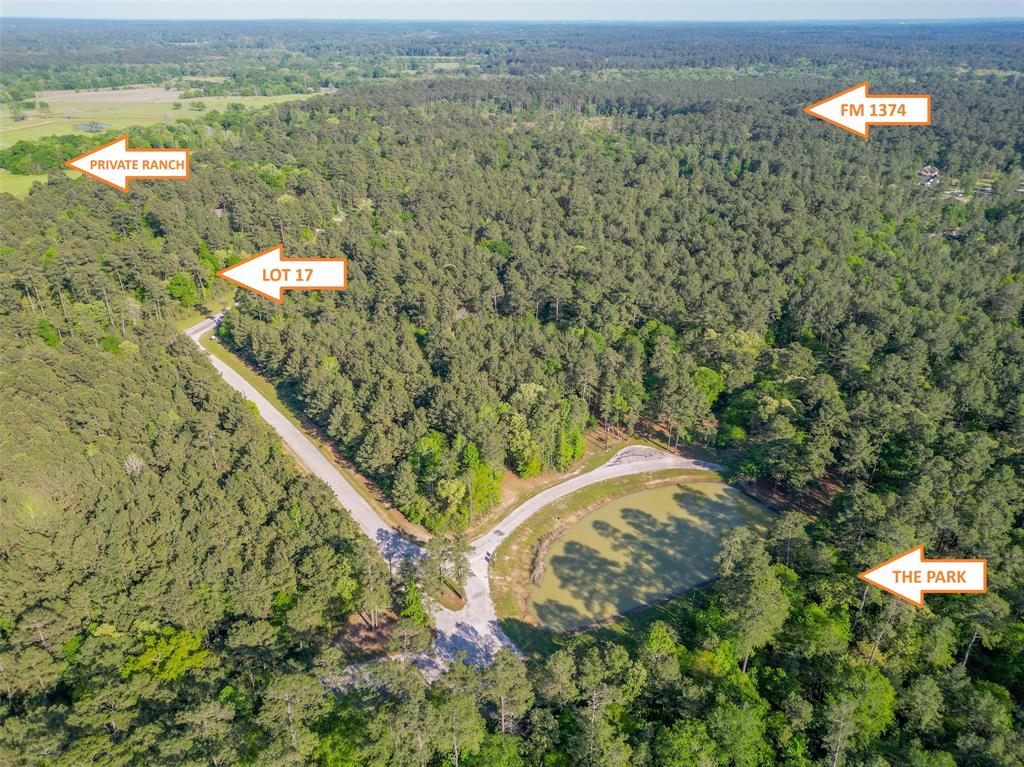 1-6-17 Dedication Trail, Huntsville, Texas image 5