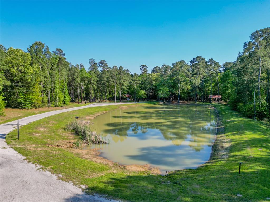 1-6-17 Dedication Trail, Huntsville, Texas image 11