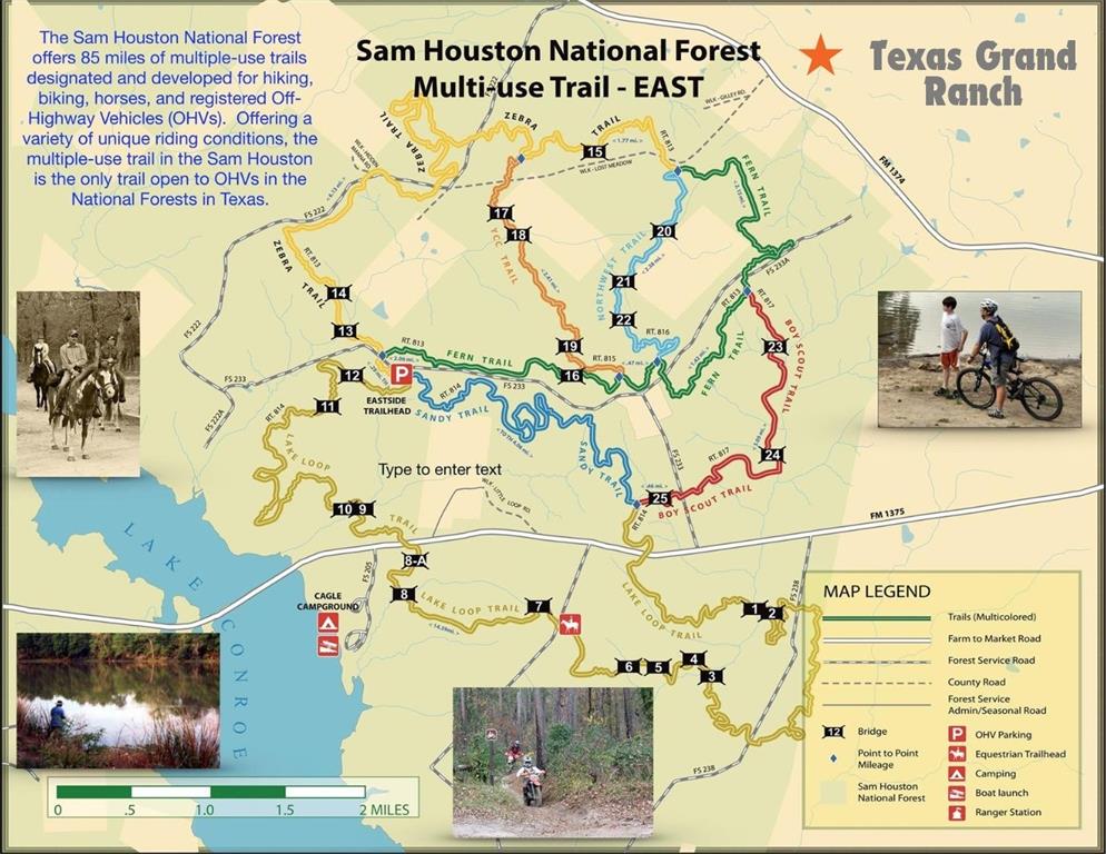 1-6-17 Dedication Trail, Huntsville, Texas image 25