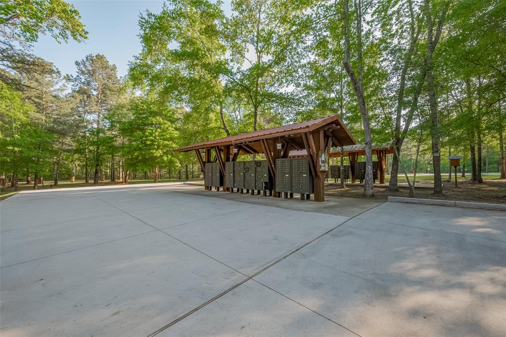 1-6-17 Dedication Trail, Huntsville, Texas image 8