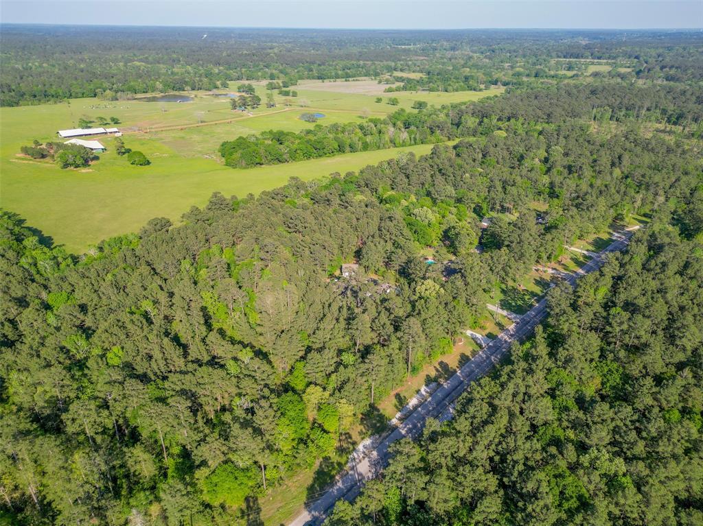 1-6-17 Dedication Trail, Huntsville, Texas image 2