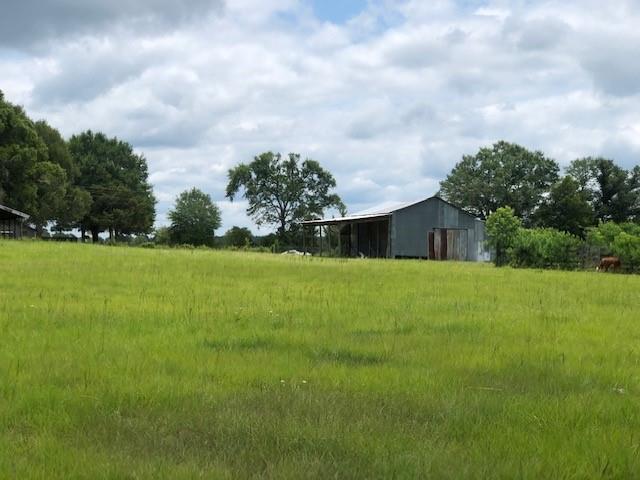 12060 W State Hwy 94, Apple Springs, Texas image 10