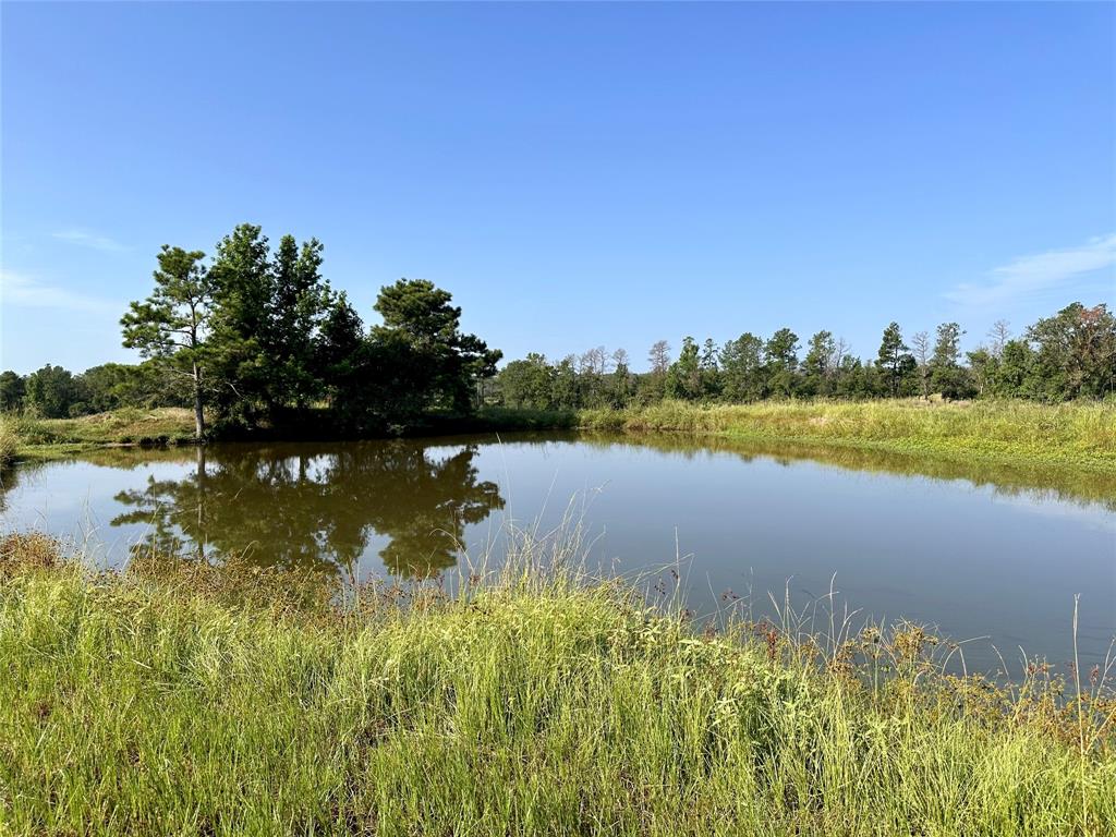 12060 W State Hwy 94, Apple Springs, Texas image 4