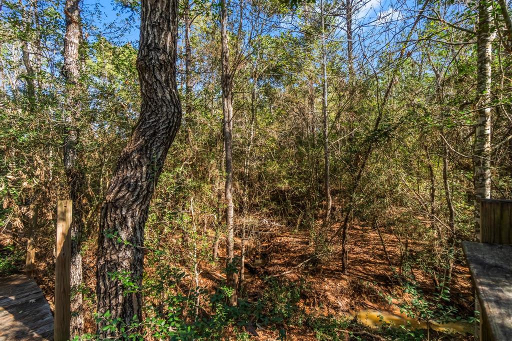 22310 Glenmont Estates Boulevard, Magnolia, Texas image 26