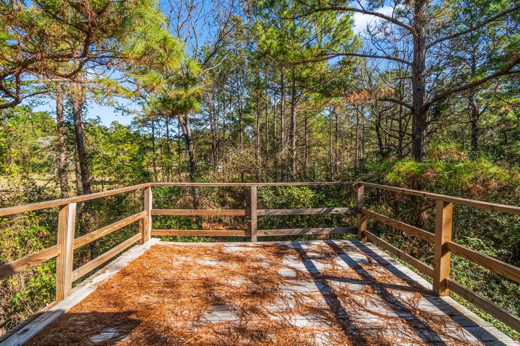 22310 Glenmont Estates Boulevard, Magnolia, Texas image 10