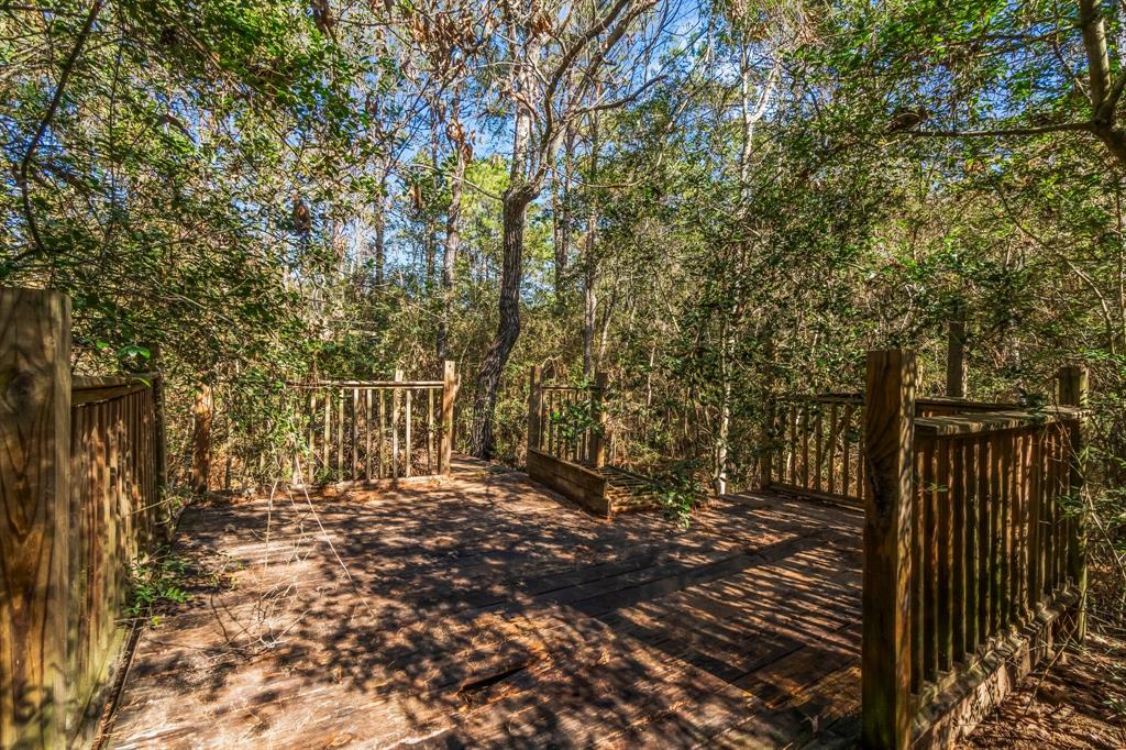22310 Glenmont Estates Boulevard, Magnolia, Texas image 3