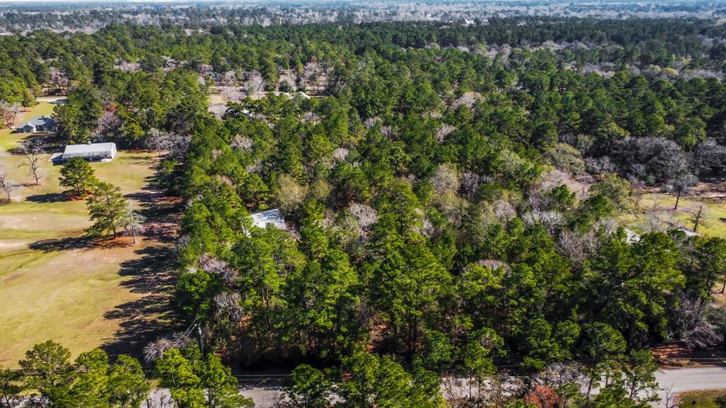 22310 Glenmont Estates Boulevard, Magnolia, Texas image 28