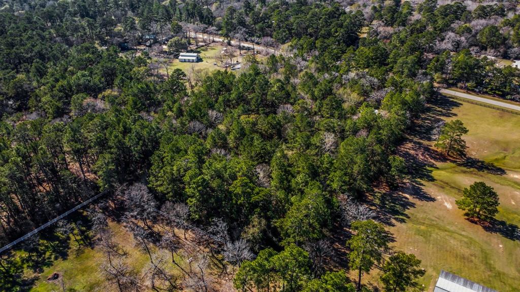 22310 Glenmont Estates Boulevard, Magnolia, Texas image 35