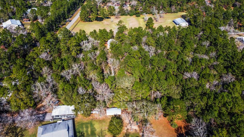 22310 Glenmont Estates Boulevard, Magnolia, Texas image 34