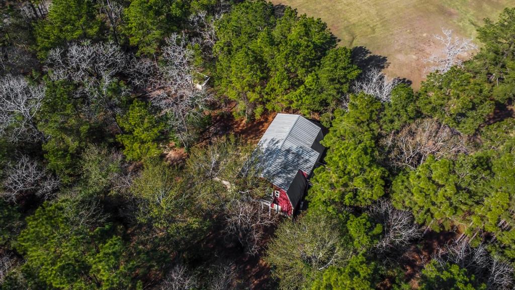 22310 Glenmont Estates Boulevard, Magnolia, Texas image 1