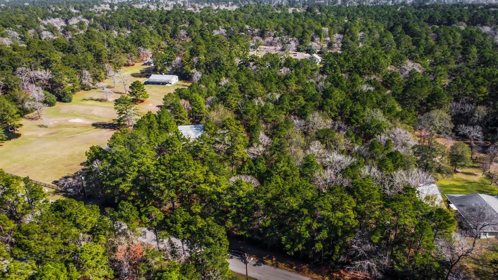 22310 Glenmont Estates Boulevard, Magnolia, Texas image 29
