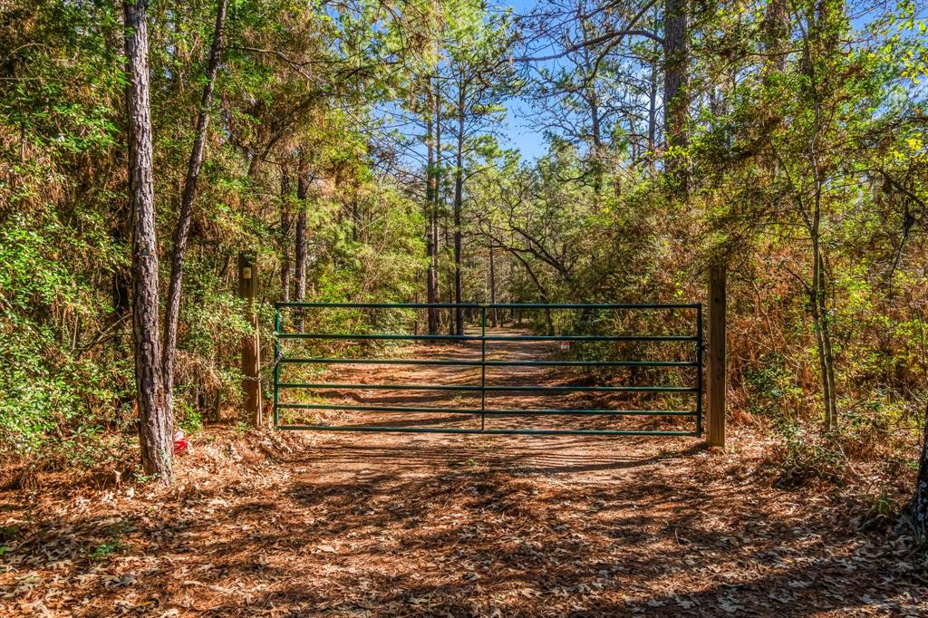 22310 Glenmont Estates Boulevard, Magnolia, Texas image 2