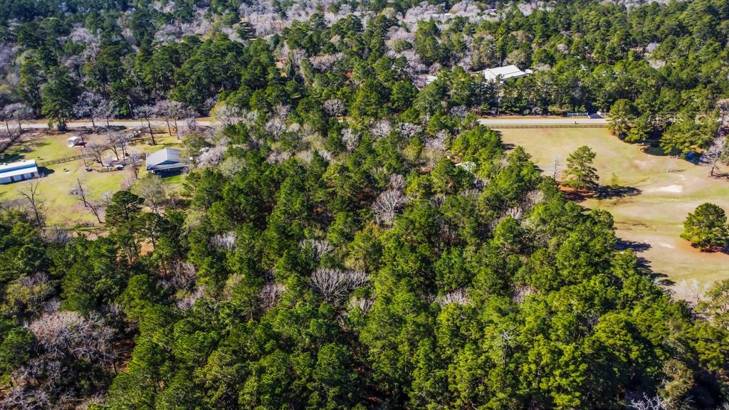 22310 Glenmont Estates Boulevard, Magnolia, Texas image 31