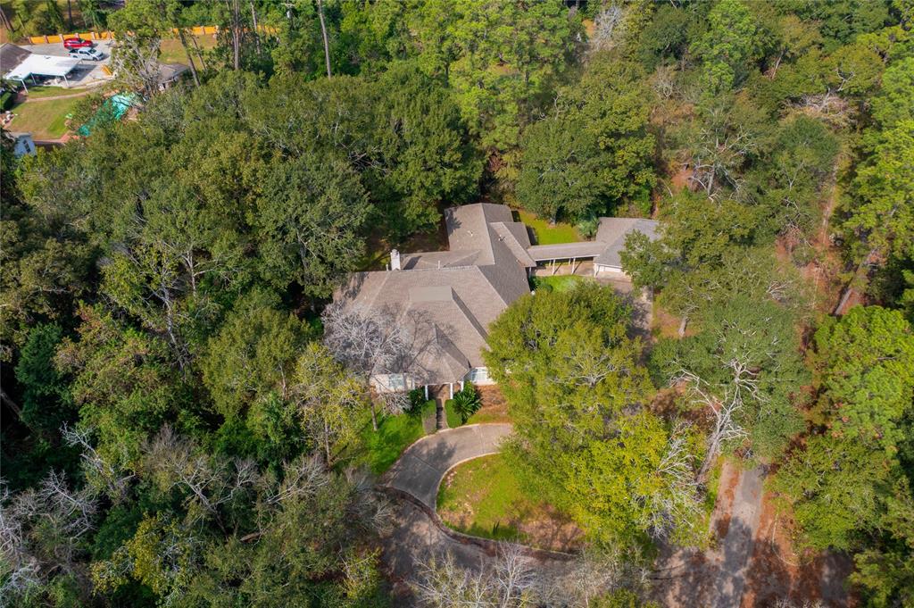 5 Briarwood Drive, Conroe, Texas image 1