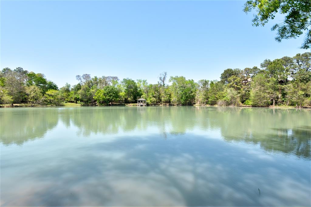 12692 Briar Patch Road, Houston, Texas image 10