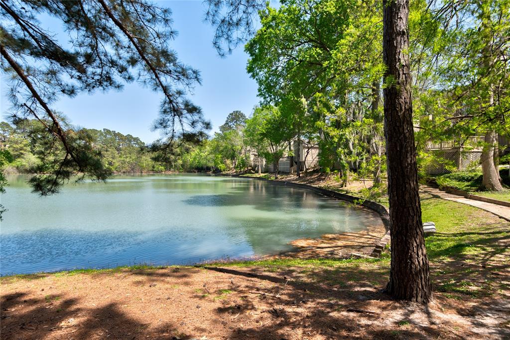 12692 Briar Patch Road, Houston, Texas image 32