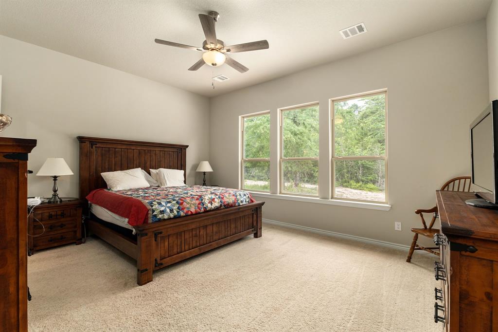 16952 Tierra Buena Drive, Plantersville, Texas image 12