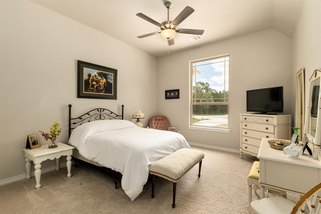 16952 Tierra Buena Drive, Plantersville, Texas image 20