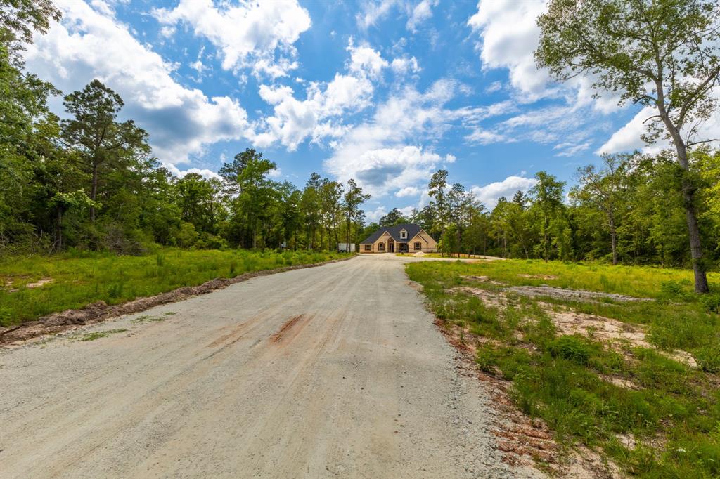 16952 Tierra Buena Drive, Plantersville, Texas image 35