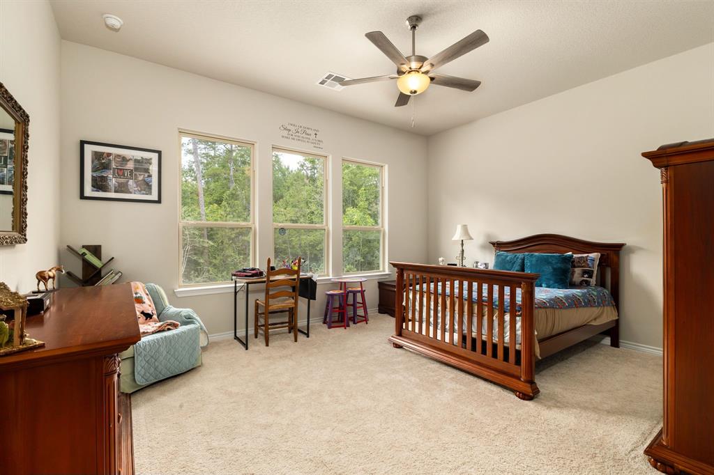16952 Tierra Buena Drive, Plantersville, Texas image 24