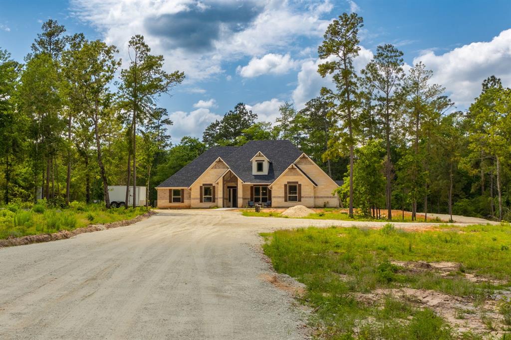 16952 Tierra Buena Drive, Plantersville, Texas image 36