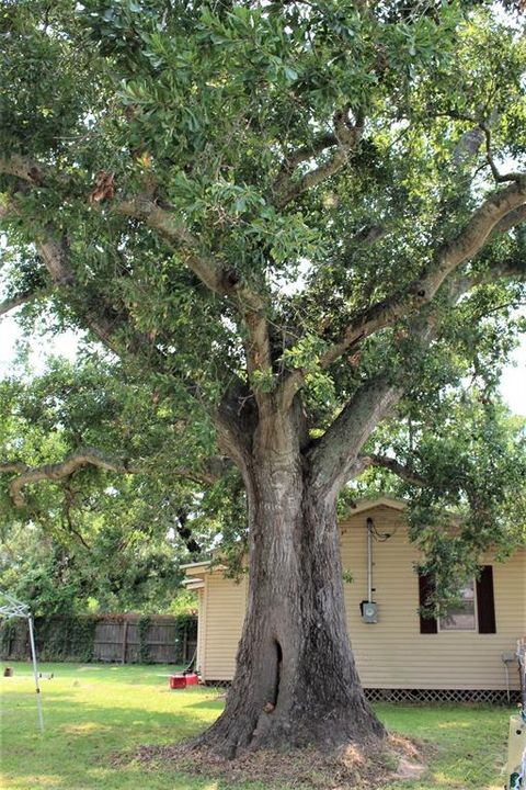 A home in Crockett