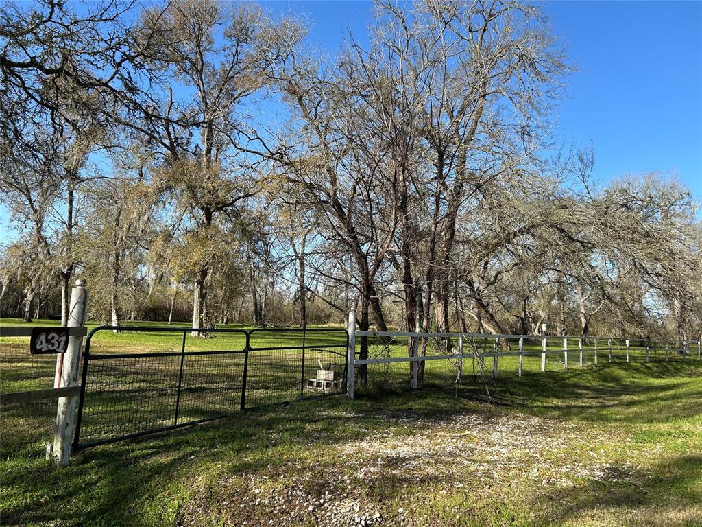 431 Little Dogie Road