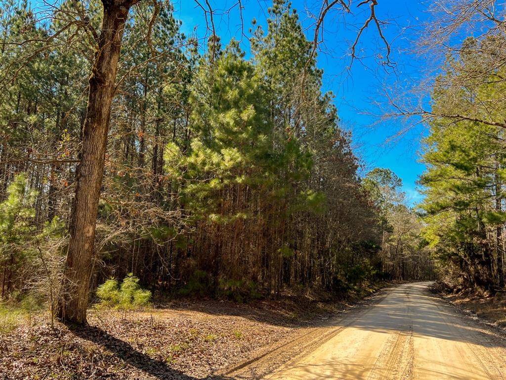 00 Howell Road, Corrigan, Texas image 1