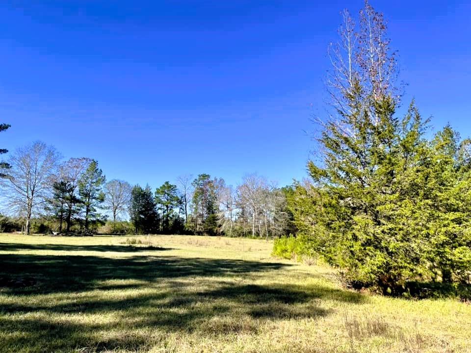 717 A Cr 4392, Spurger, Texas image 30