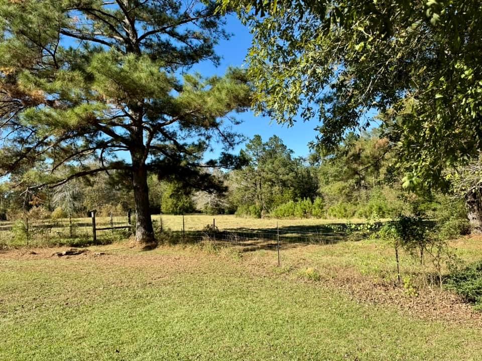 717 A Cr 4392, Spurger, Texas image 34