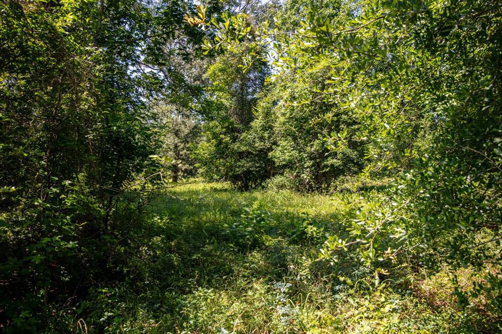 TBD County Road 3011 Lot 3, Dayton, Texas image 20
