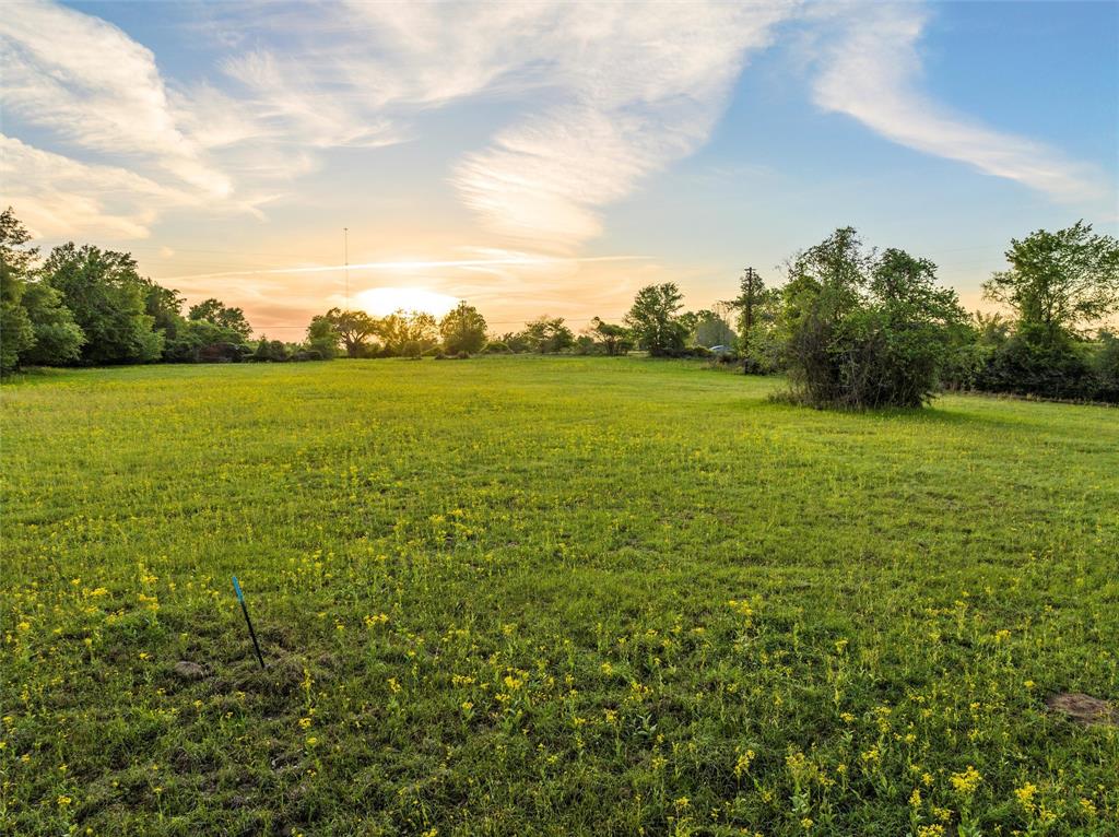 Lot 4 Lcr 740, Thornton, Texas image 6