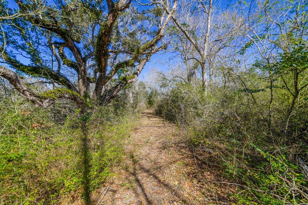 314 County Road 904, Alvin, Texas image 14