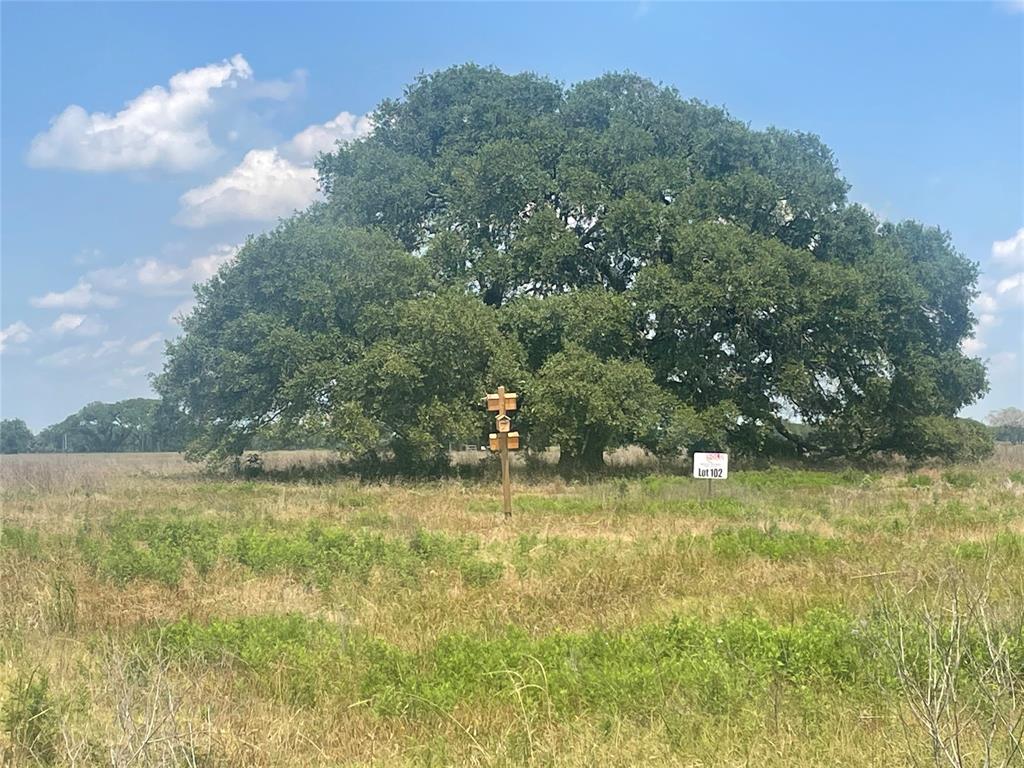 102 Lot 102 Pintail Lane, Columbus, Texas image 7