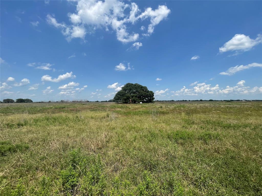102 Lot 102 Pintail Lane, Columbus, Texas image 5