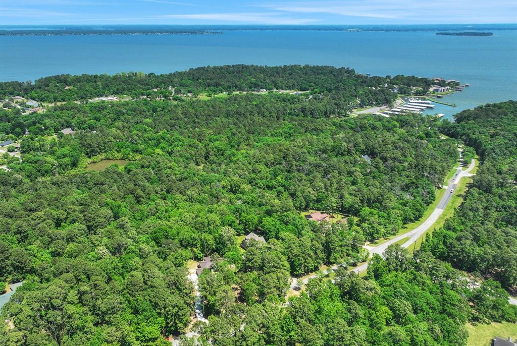777 S Cape Royale Drive, Coldspring, Texas image 40
