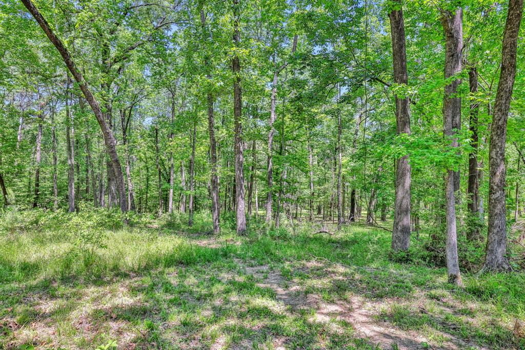 777 S Cape Royale Drive, Coldspring, Texas image 35