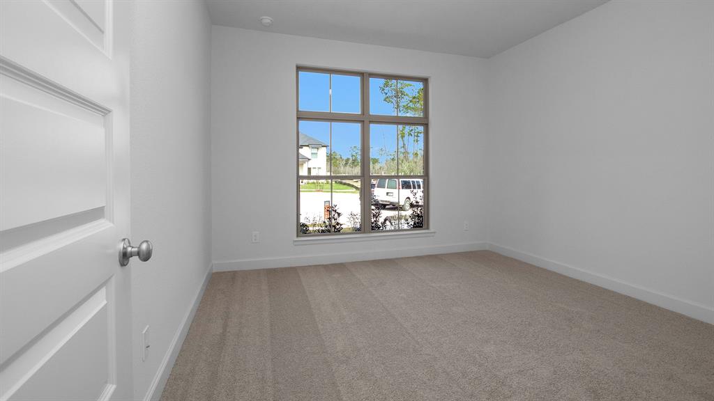 15133 Wedge Tail Way, Magnolia, Texas image 13