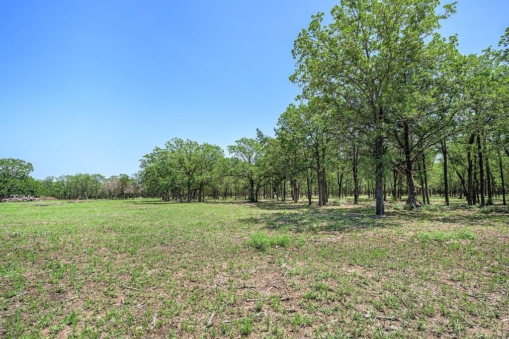 4638 Red Hollow Lane, Smithville, Texas image 11