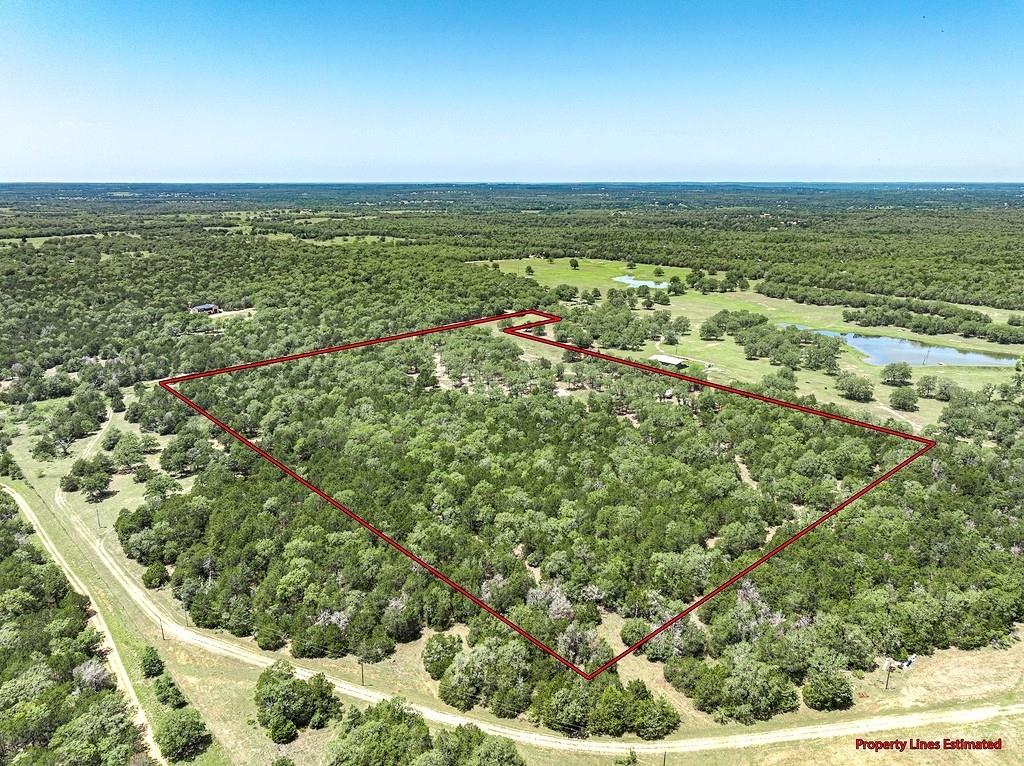 4638 Red Hollow Lane, Smithville, Texas image 5