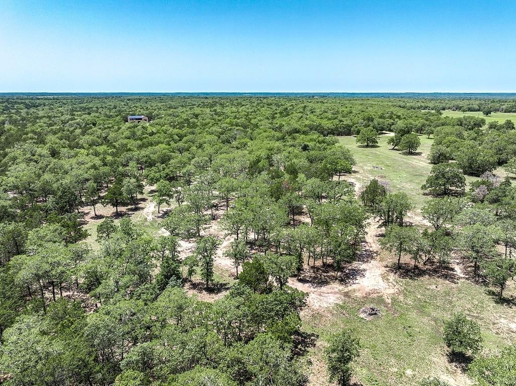 4638 Red Hollow Lane, Smithville, Texas image 13