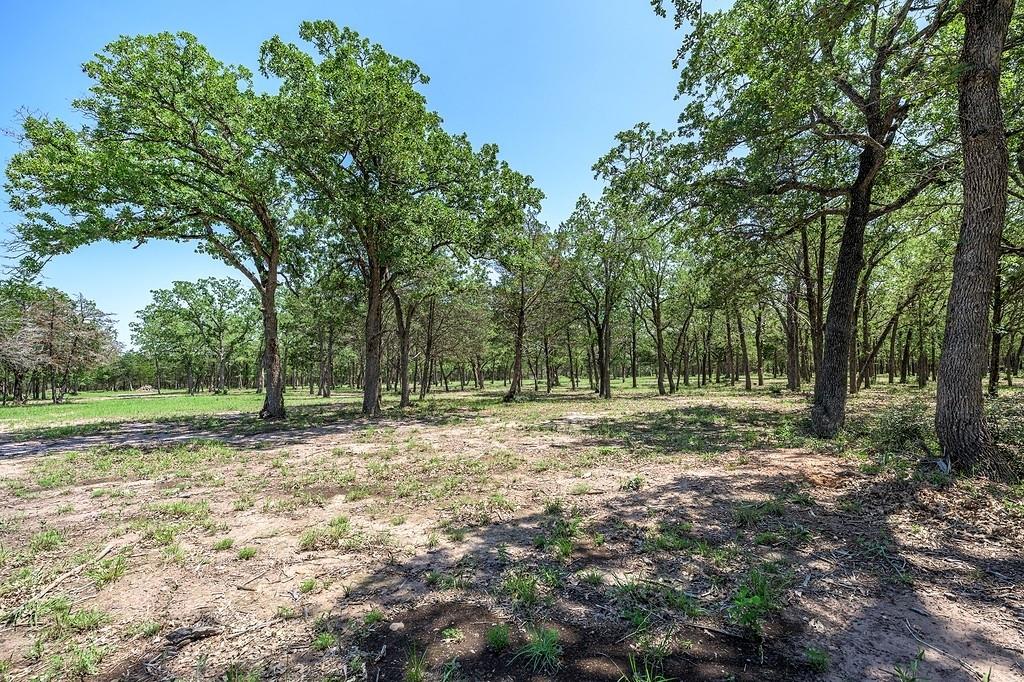 4638 Red Hollow Lane, Smithville, Texas image 10