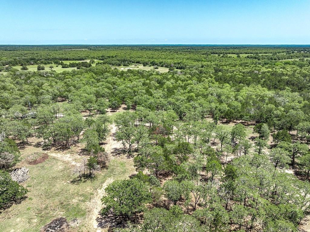 4638 Red Hollow Lane, Smithville, Texas image 6