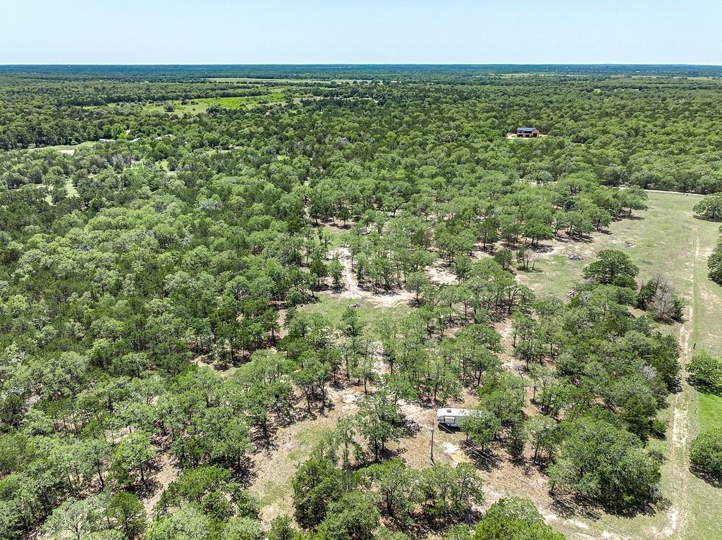4638 Red Hollow Lane, Smithville, Texas image 12