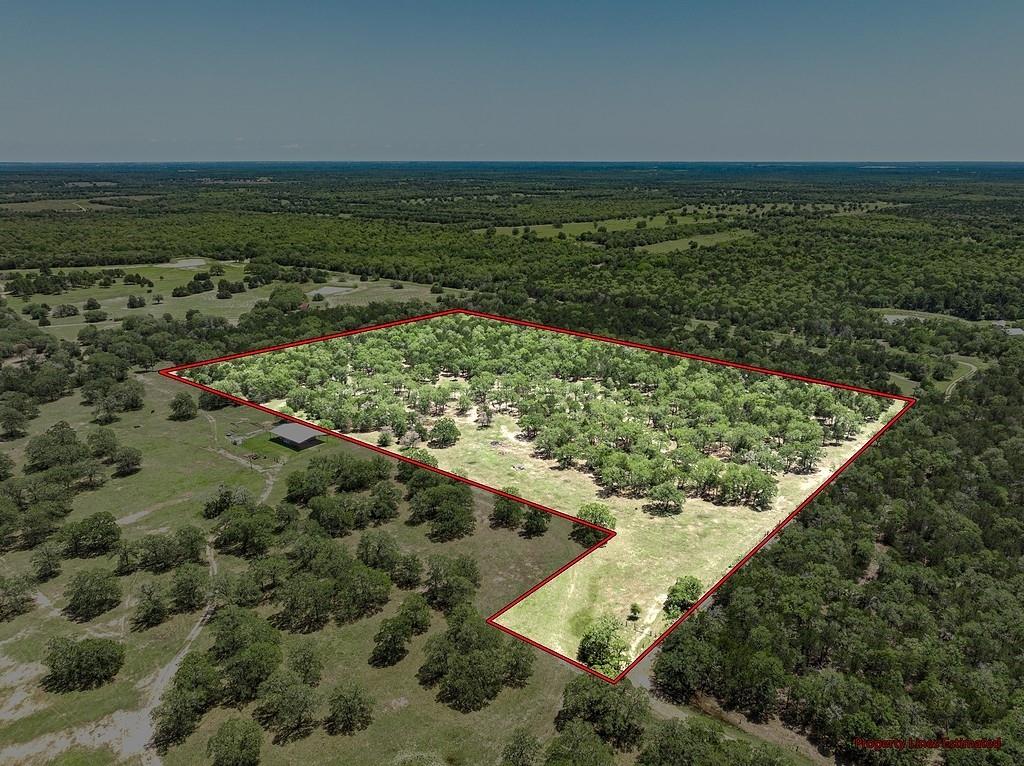 4638 Red Hollow Lane, Smithville, Texas image 1