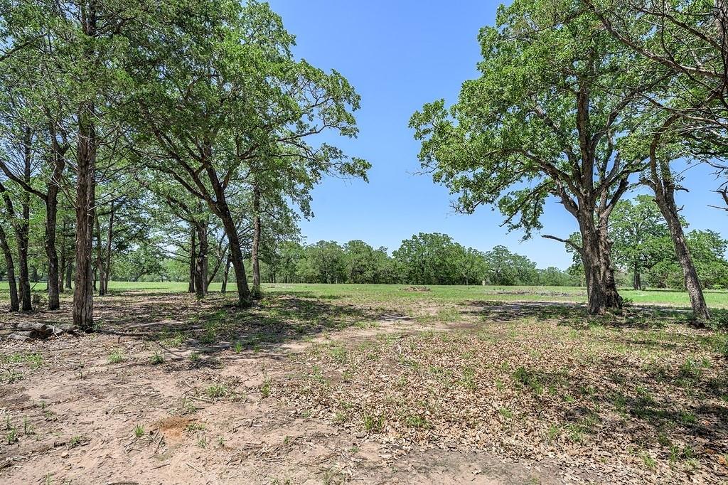 4638 Red Hollow Lane, Smithville, Texas image 9