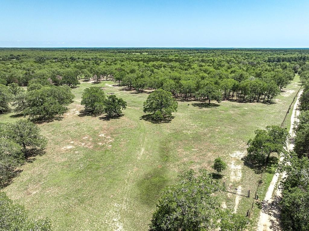 4638 Red Hollow Lane, Smithville, Texas image 8