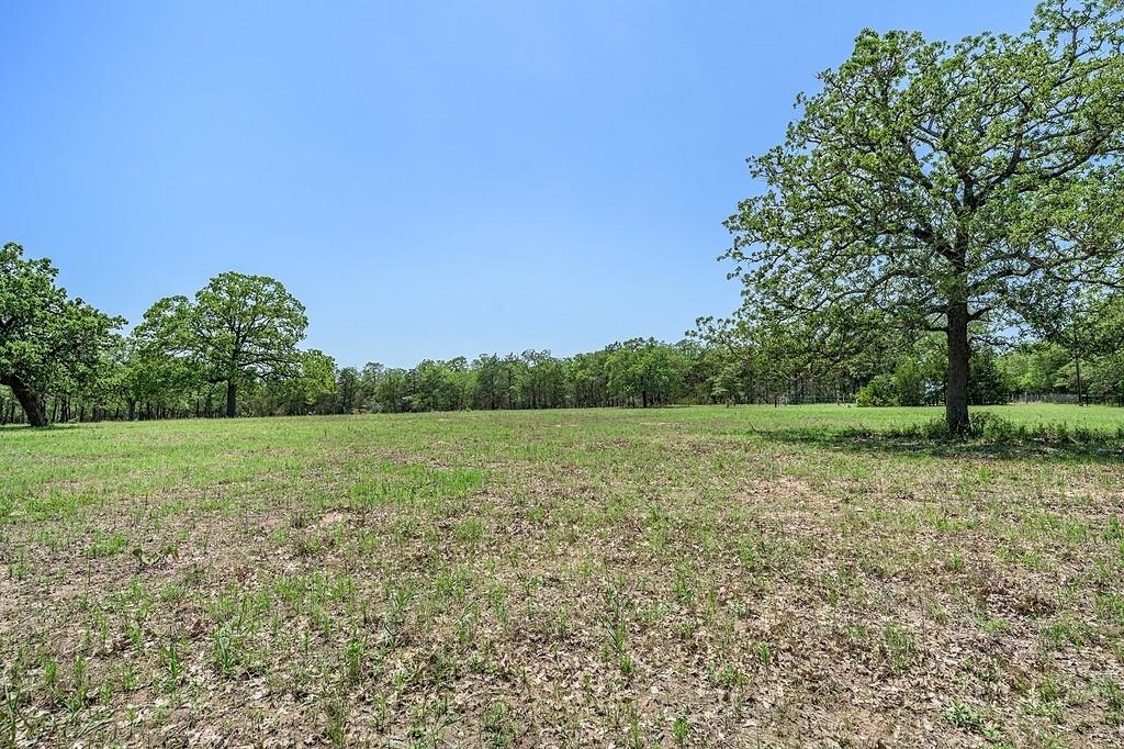 4638 Red Hollow Lane, Smithville, Texas image 7